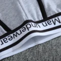 Single Men's Hot Sexy U Pocket Letter Cotton Comfortable Fashion Classic Casual Solid Color Line Breathable Underwear Personaliz - - Image 4