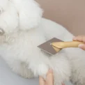 Dog Comb Solid Wood Dog Brush Pet Hair Remover Massage Cat Brush Pet Grooming Stainless Steel Combs for Cats Hair Knot Opening - Image 4