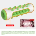 Rubber Dog Molar Toothbrush Toys Chew Cleaning Teeth Safe Puppy Dental Care Soft Pet Cleaning Toy Supplies Pet accessories - Image 3