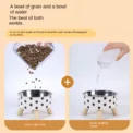 Elevated Cats Feeder Bowl Anti-choking Raised Cat Food Water Bowl With Stand Pet Feeding Drinking Supplies bowls for cats dogs - Image 2