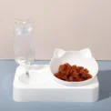Pet Bowl 15 Degrees Tilt to Protect Cervical Vertebrae Dog Food Bowl Automatic Drinking Feeder Pet Feeding Supplies - Image 2
