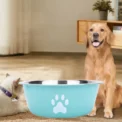 Large Capacity Stainless Steel Dog Bowl Non-slip Bilayer Dog Water Bowl Non-rust Cat Paw Pattern Dog Food Bowls Drinkers - Image 2