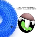 Squeaky Pet Dog Interactive Chew Toy Puppy Bite Resistant Thorn Barbed Tooth Cleaning Toy TPR Molar Chew Toys for Dogs - Image 5