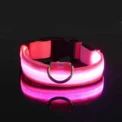 Nylon LED Night Safety Flashing Glow In The Dark Dog Leash Dogs Luminous Fluorescent Pet Dog Collar - Image 5