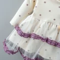 Baby Girl Dress Spring Autumn Girl Polka Dot Mesh Long Sleeved Princess Dress Cute Girl Birthday Party Dress - Image 6