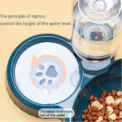 Three In One Cat Feeding Station, Durable Plastic Food And Water Bowls, Cute Cat Ear Design, Suitable For Two Cats To Eat - Image 2