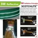 Reflective Adjustable Breathable Vest Chest Strap for Small Medium Large Dogs Pet Dog Harness Cat Puppy Collar Dog Accessoires - Image 5