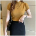 Women's Short Sleeve Polo Neck Knitwear Slim Fit Base Shirt Inner Wear Tank Top Spring Autumn New Style Half High Collar - Image 5
