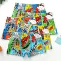 4pcs Disney Spiderman Children's Panties Cartoon Cotton Avenger Boys Boxers Frozen Girls Underwear Child Underpants - Image 4