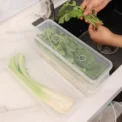Fresh Box Refrigerator Storage Boxes Scallions Food Container with Lid Cold Crisper Sealed Kitchen Fresh Fruit Fridge Organiser - Image 2