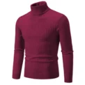 New Men's High Neck Sweater Solid Color Pullover Knitted Warm Casual Turtleneck Sweatwear Woolen Mens Winter Outdoor Tops - Image 5
