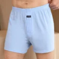 1pcs Male Arrow Pants Men Cotton Boxers Shorts Loose Mid-Waisted Men's Plus Size Underwear Homewear Comfortable Panties - - Image 2