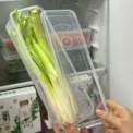 Fresh Box Refrigerator Storage Boxes Scallions Food Container with Lid Cold Crisper Sealed Kitchen Fresh Fruit Fridge Organiser - Image 5