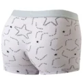 4 Pack  Size MEN'S Printed Fashion Boyshort Comfortable MEN'S Waist plus Size Underwear Sexy Swimming Trunk - Image 6