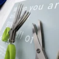 Multi Functional Stainless Steel 3 5 Layer Kitchen Scissors for Pepper Scallion Laver Cutting Chopping Cooking Tool - Image 6