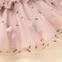 New single piece spring and autumn baby girl baby pink thin long sleeved princess flower mesh dress - Image 6