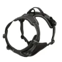 Reflective Adjustable Breathable Vest Chest Strap for Small Medium Large Dogs Pet Dog Harness Cat Puppy Collar Dog Accessoires - Image 3