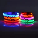 Nylon LED Night Safety Flashing Glow In The Dark Dog Leash Dogs Luminous Fluorescent Pet Dog Collar - Image 4