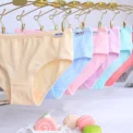 4Pcs/lot Girls Briefs Panties Cotton Teen Underwear Little Toddler 8-14Y - Image 2