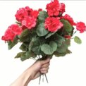 2 Pcs 12.6inch Faux Flowers Geraniums UV Resistant Nonwoven for Garden Patio Vase Table Centerpiece for Indoor Home Floral Decor - Image 3