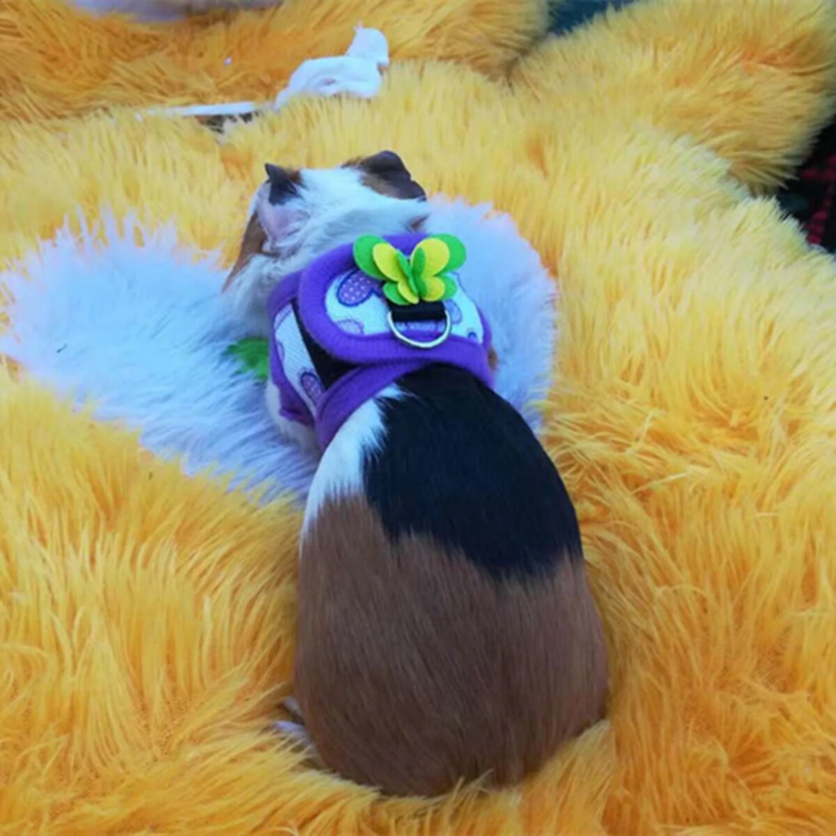 Chinchilla Harness Chinchilla Harness Vest Chinchilla Walking Harness Vest with Leash for Squirrel Hamster Red Grid+Purple Love - Image 2