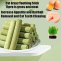 60 PCS Grass Stic Pet Snac Food For Cats Oll Ages Cat Teeth Clean - Image 6