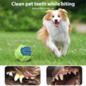 Pet Colorful Accessories Vibrant Dog Toys Squeaking Dog Chew Toys Rope Molar Teeth Cleaning Playtime Fun Kit: uk Stock, 4 Days Free Delivery - Image 2