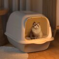Voltsify Detachable Cat Litter Box with 180° Flip-Top & Scoop & Deodorant, 35cm W x 50 cm D x 35 cm H: uk Stock, 4 Days Free Delivery, & No Order Amount limit - Image 2