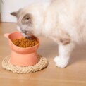 Pet food bowl Tilt high bottom neck protector against choking dog and cat birdbits against dumping pet feeding supplies - Image 2