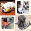 Electric Cat Toy Fish Pet Cat Toys Simulation Fish Swing Kitten Dance Fish Toy Funny Cats Chewing Playing Supplies USB Charging - Image 2
