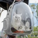 Tieker Pet Travel Backpack Transparent Capsule Kitten Puppy Pet Carrier Breathable Portable Space Capsule: 3 - 5 Days Free Delivery Only UK