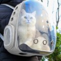 Tieker Pet Travel Backpack Transparent Capsule Kitten Puppy Pet Carrier Breathable Portable Space Capsule: 3 - 5 Days Free Delivery Only UK - Image 4