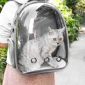Tieker Pet Travel Backpack Transparent Capsule Kitten Puppy Pet Carrier Breathable Portable Space Capsule: 3 - 5 Days Free Delivery Only UK - Image 5