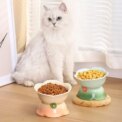Cat Gradient Ceramic Bowl Elevated Pet Food Water Feeders Tilted Puppy Dogs Drinking Eating Supplies: 3 - 5 Days Free Delivery Only UK - Image 5