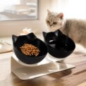 Tieker 15° tilted cat drinking water feeding bowl non-slip double bowl elevated feeder neck protection : 3 - 5 Days Free Delivery Only UKpet feeding bowl: 3 - 5 Days Free Delivery Only UK - Image 2