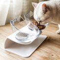 Tieker 15° tilted cat drinking water feeding bowl non-slip double bowl elevated feeder neck protection : 3 - 5 Days Free Delivery Only UKpet feeding bowl: 3 - 5 Days Free Delivery Only UK