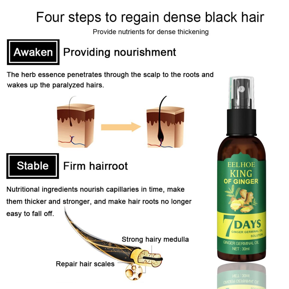 EELHOE Ginger Hair Care Spray Strengthening Hair Root Nourishing Scalp Promote Hair Growth Repair : 3 - 5 Days Free Delivery Only UKHair Care Oil Spray: 3 - 5 Days Free Delivery Only UK - Image 4