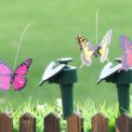 1-3Pcs Solar Garden Dancing Ornament Solar Powered Flying Wobble Butterfly Bird Garden Stake for Patio Landscape Outside Ornaments: 3  - 5 Days Free Delivery Only UK