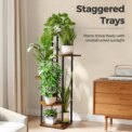 4/5/6-Tier Plant Stand Wooden Shelves, Metal Corner Flower Shelf Rack, Multi-Level Plant Pot Stand for Garden Wedding Decoration: 3  - 5 Days Free Delivery Only UK - Image 3