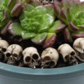20Pcs Gothic Skull Sculptures Collectable Halloween Skeleton Statues Ornament Festival Theme Landscape Garden Potted Plant Décor: 3 - 5 Days Free Delivery Only UK - Image 6