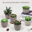 4pcs Mini Fake Plants Decor for Office Desk Decor - Tiny Realistic Fake Succulent Plants Artificial Potted Set Cute Decoration: 3 - 5 Days Free Delivery Only UK - Image 4
