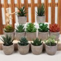 4pcs Mini Fake Plants Decor for Office Desk Decor - Tiny Realistic Fake Succulent Plants Artificial Potted Set Cute Decoration: 3 - 5 Days Free Delivery Only UK - Image 3
