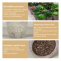 4pcs Mini Fake Plants Decor for Office Desk Decor - Tiny Realistic Fake Succulent Plants Artificial Potted Set Cute Decoration: 3 - 5 Days Free Delivery Only UK - Image 5