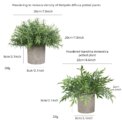 2 Pack Artificial Simulation pulp pot Nandina domestica in Pots Small House Plants for Home Office Desk Room Décor: 3 - 5 Days Free Delivery Only UK - Image 2