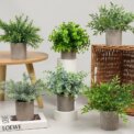 2 Pack Artificial Simulation pulp pot Nandina domestica in Pots Small House Plants for Home Office Desk Room Décor: 3 - 5 Days Free Delivery Only UK - Image 3